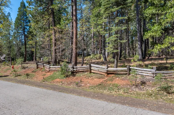 a view of park with bench and trees