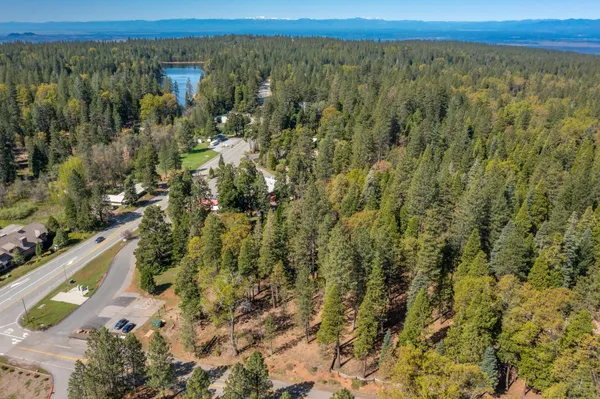 a view of a city with lush green forest