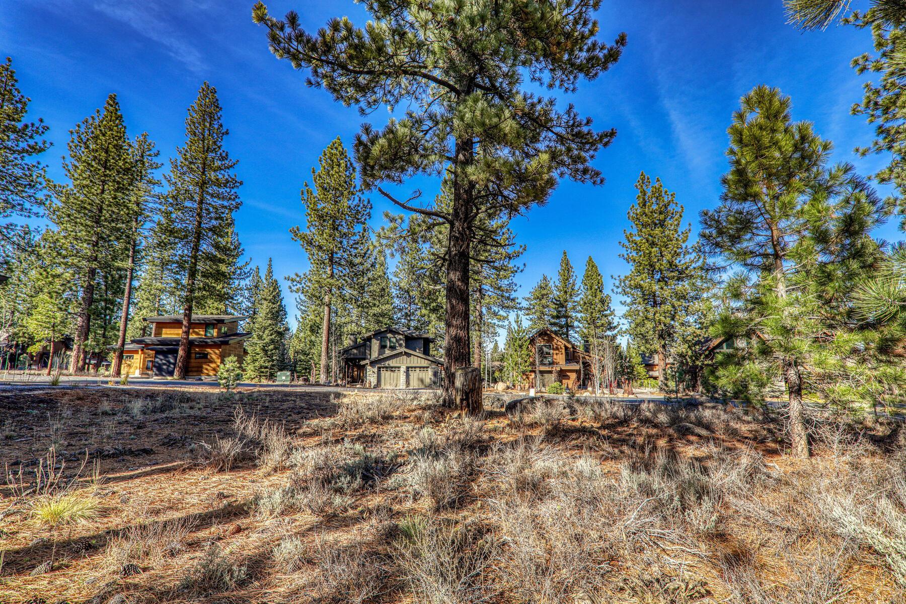 10020 Chaparral Court Truckee, CA 96161 - Photo 15 of 23 a view of outdoor space yard and tree