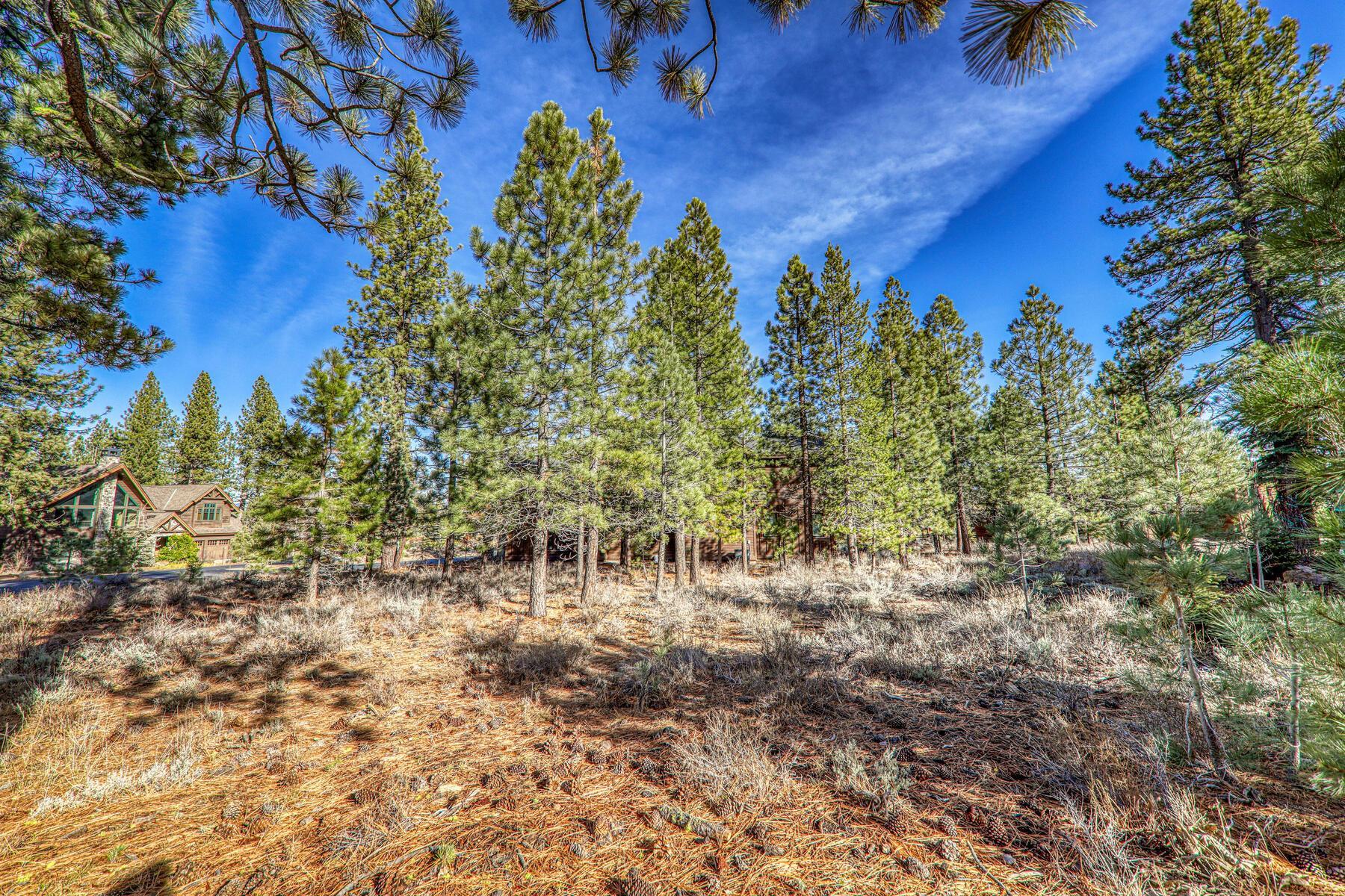 10020 Chaparral Court Truckee, CA 96161 - Photo 16 of 23 a view of a garden with plants