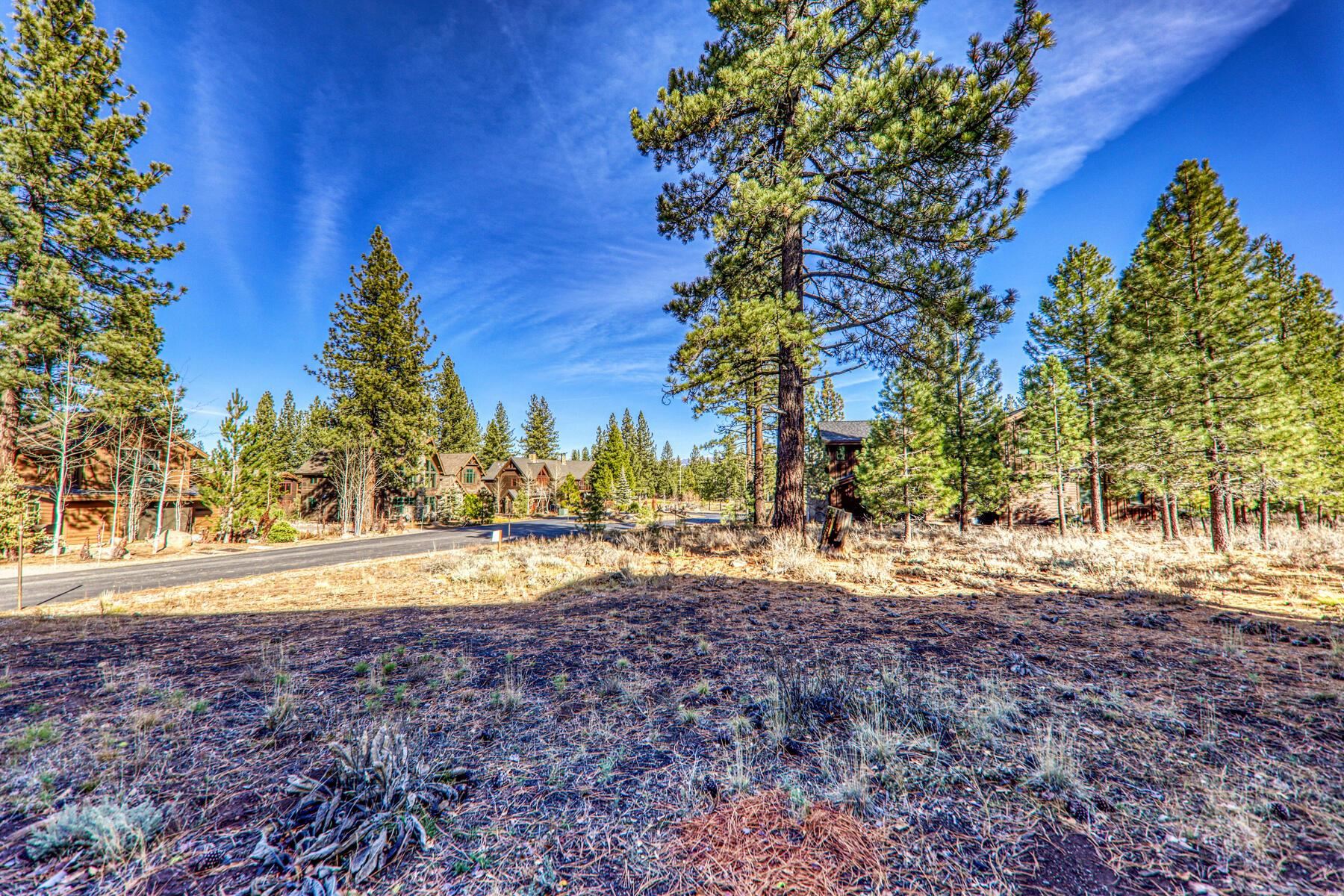 10020 Chaparral Court Truckee, CA 96161 - Photo 18 of 23 a view of a yard with a tree
