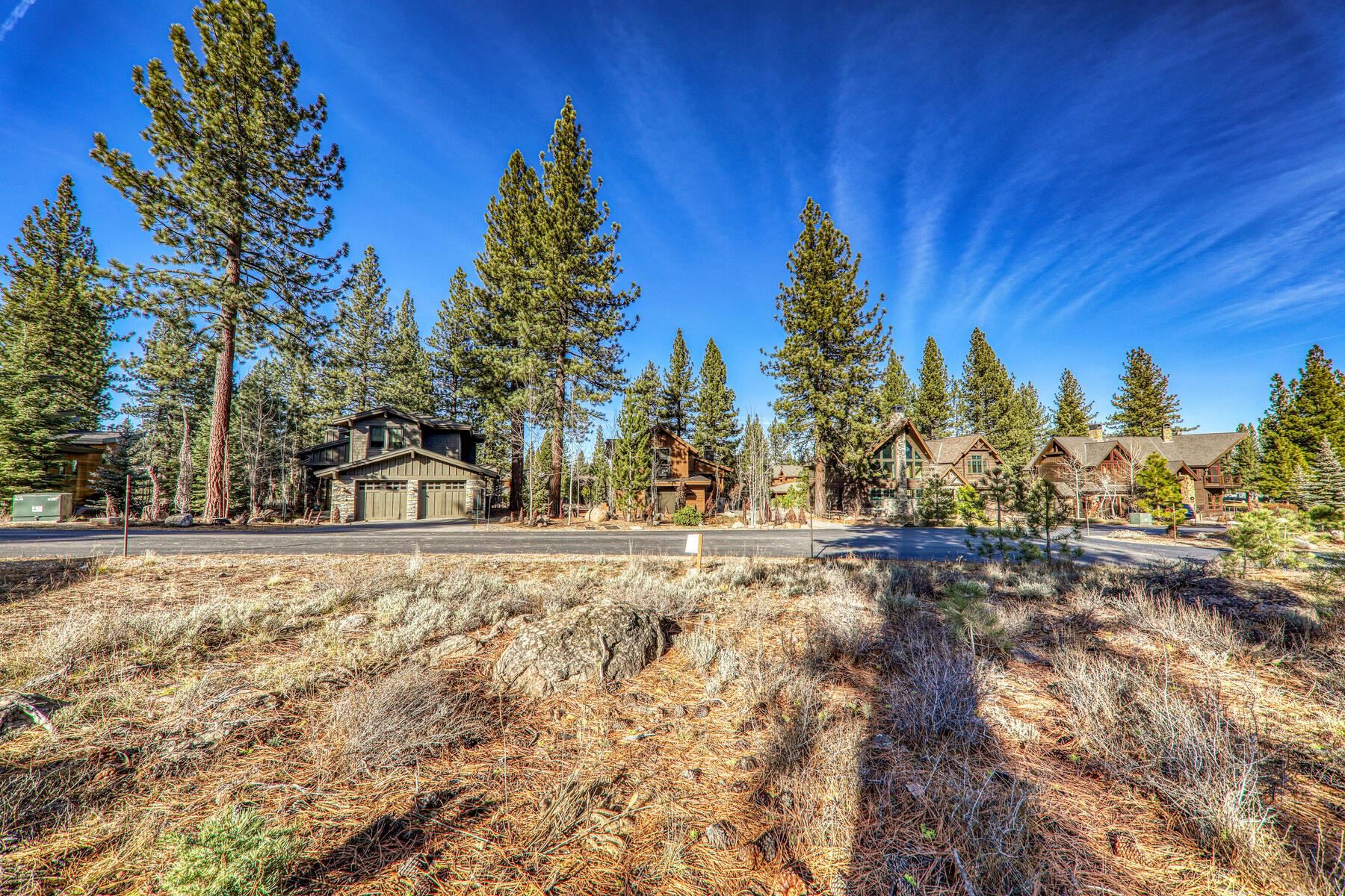 10020 Chaparral Court Truckee, CA 96161 - Photo 20 of 23 a view of a yard with trees