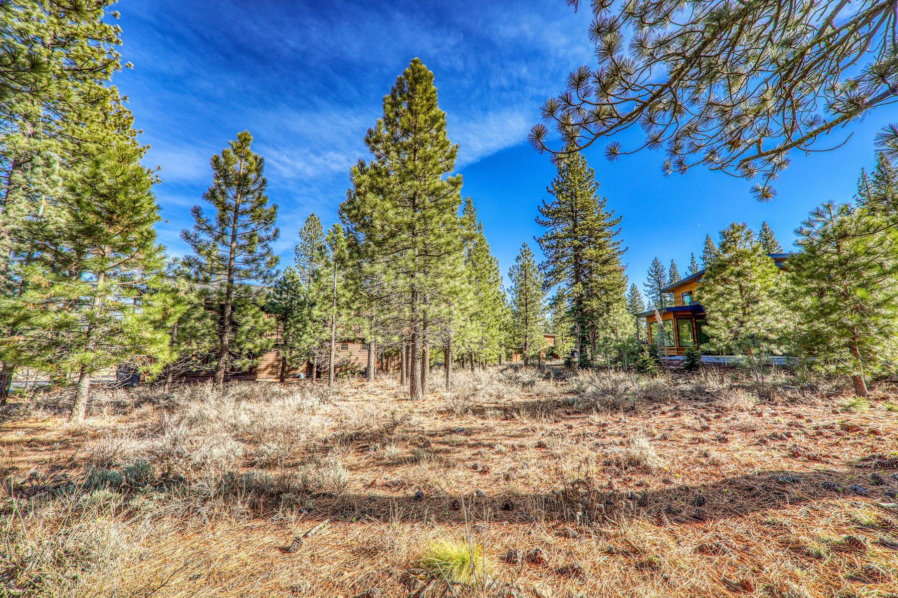 10020 Chaparral Court Truckee, CA 96161 - Photo 2 of 23 a view of a yard with trees