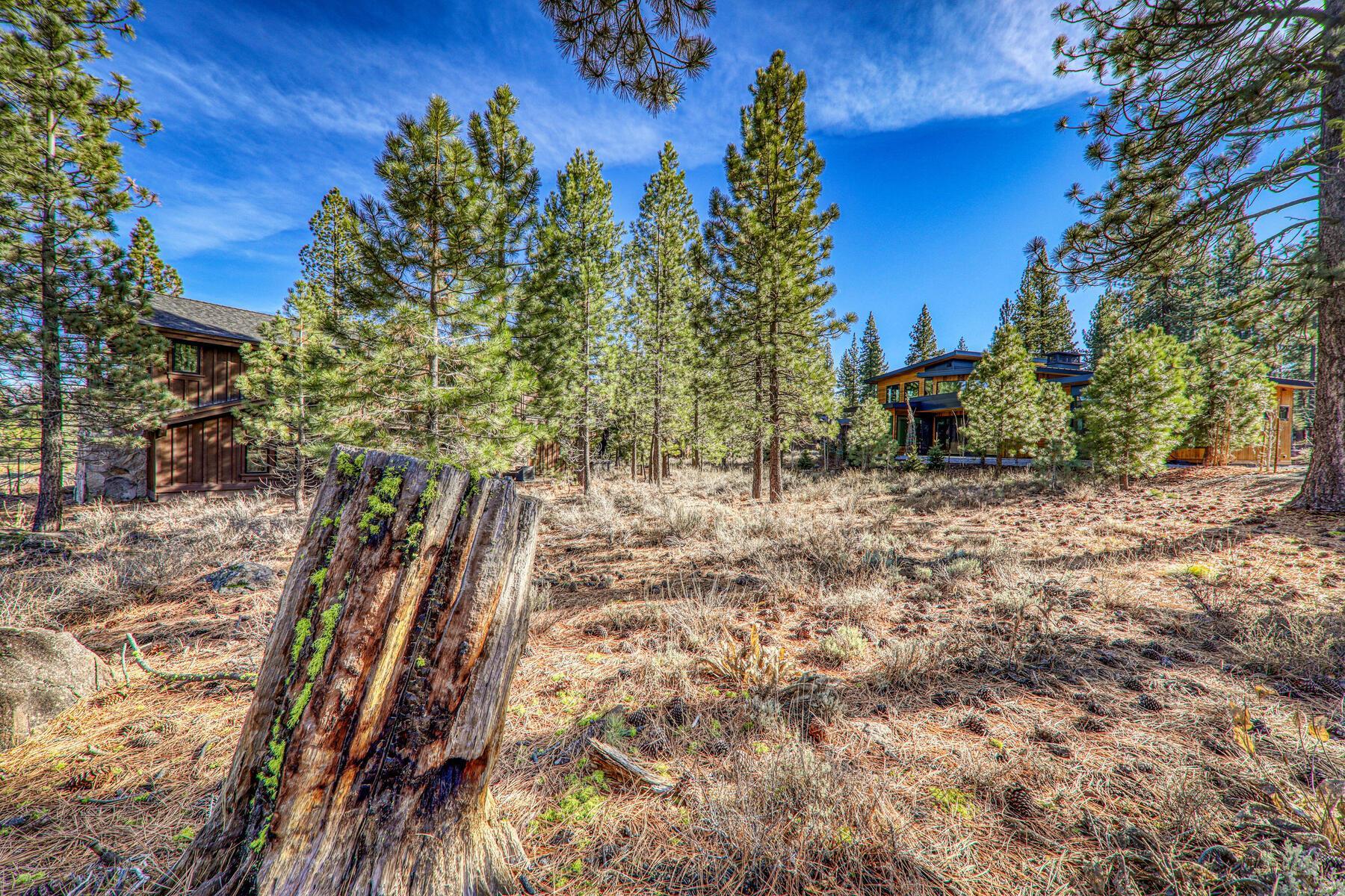 10020 Chaparral Court Truckee, CA 96161 - Photo 22 of 23 a view of a backyard
