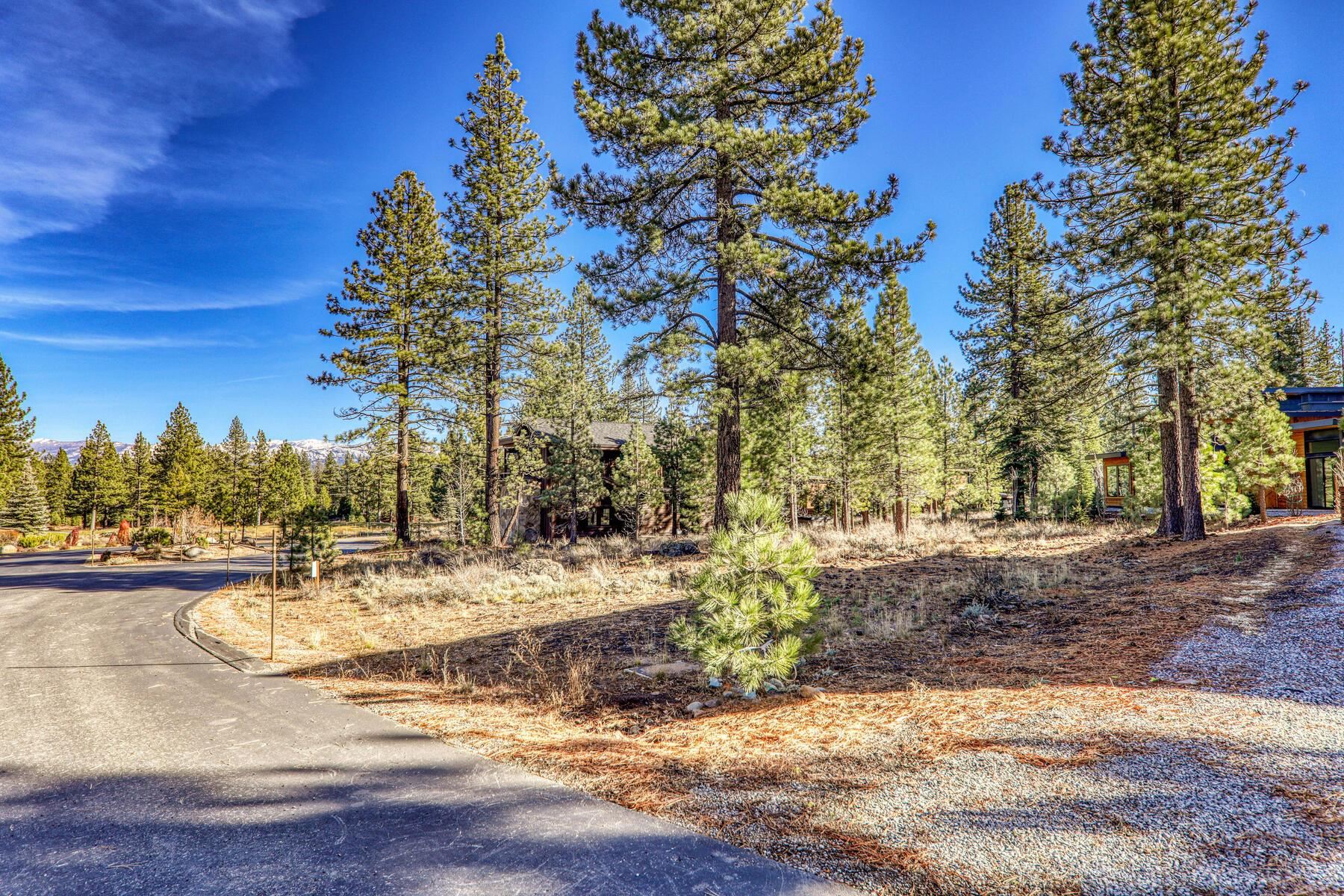 10020 Chaparral Court Truckee, CA 96161 - Photo 5 of 23 a view of a yard with trees