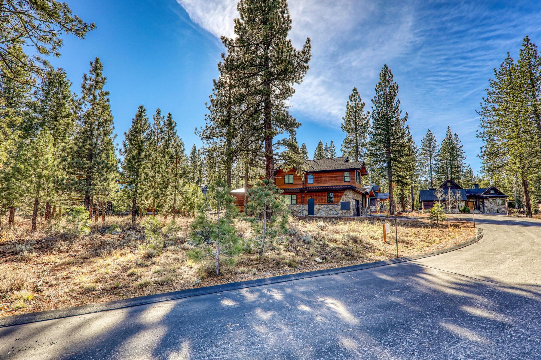 10020 Chaparral Court Truckee, CA 96161 - Photo 8 of 23 a view of a yard with trees