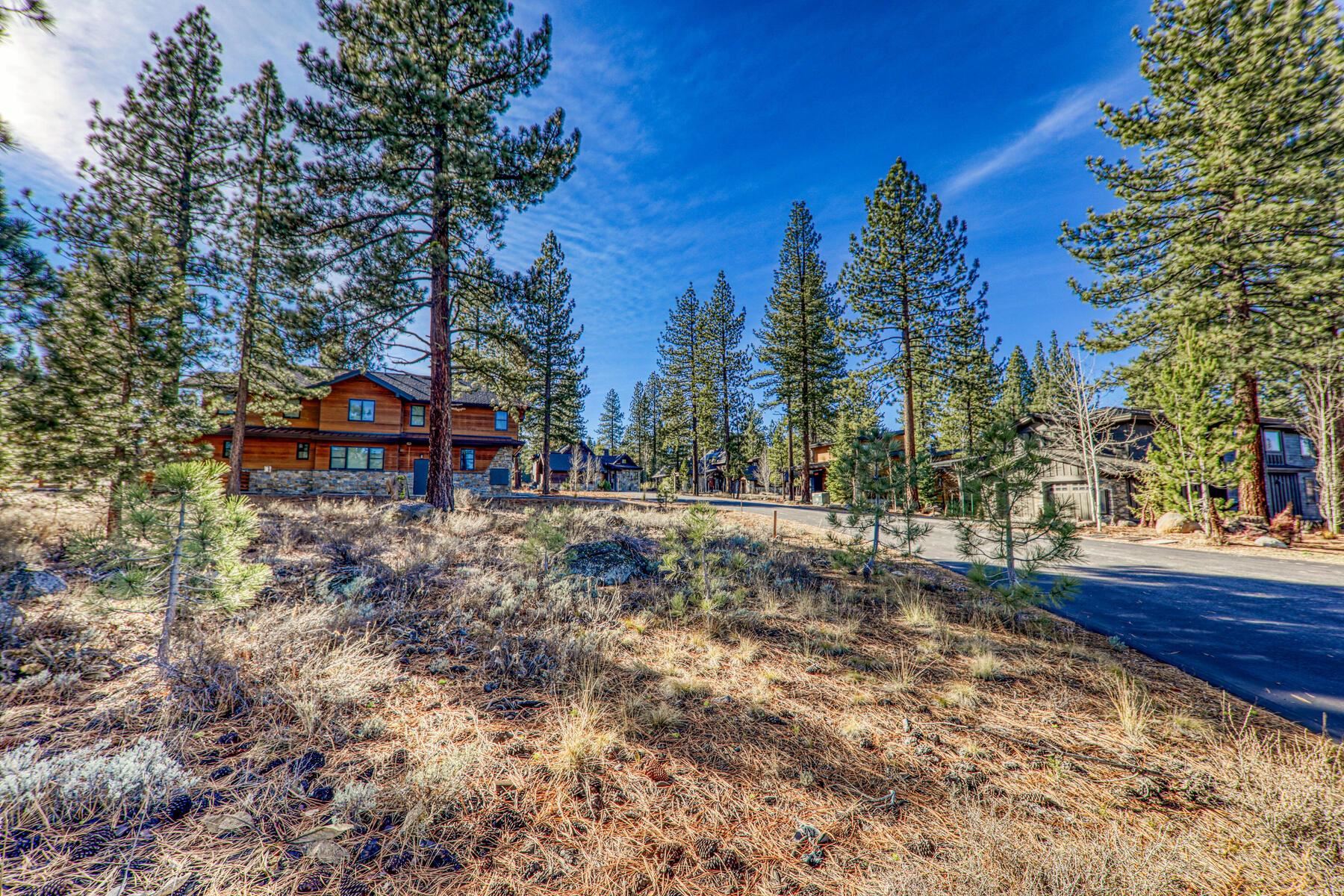 10020 Chaparral Court Truckee, CA 96161 - Photo 10 of 23 a view of outdoor space with trees all around