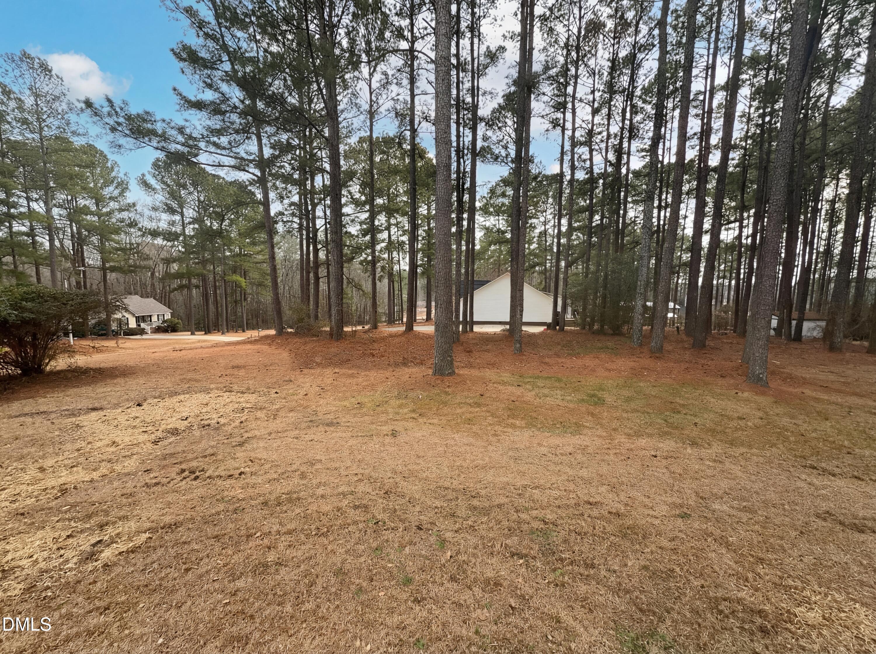 299 Greenleaf Road Angier, NC 27501 - Photo 15 of 15 a backyard of a house with trees