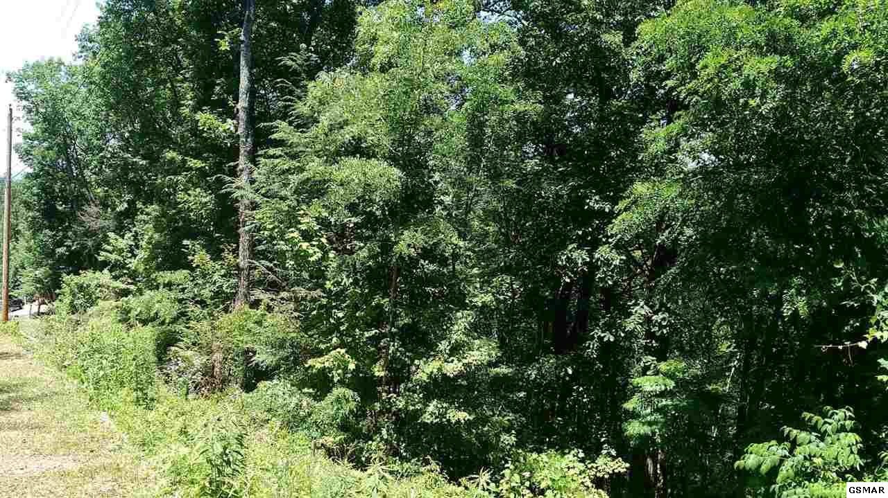 970 Ridgefield Drive Sevierville, TN 37876 - Photo 2 of 3