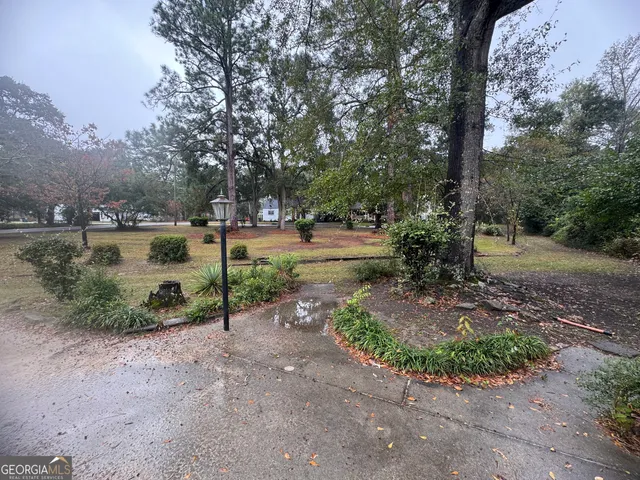 a view of a park with large trees
