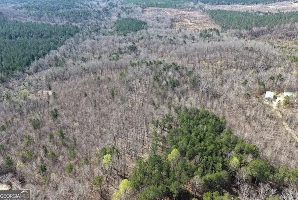 $34,900 | 0 County Highway 106, Bear Creek, AL 35543