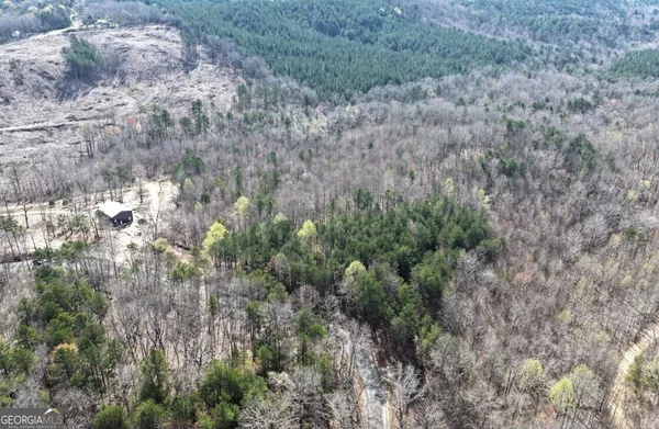 $34,900 | 0 County Highway 106, Bear Creek, AL 35543