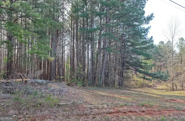 $34,900 | 0 County Highway 106, Bear Creek, AL 35543