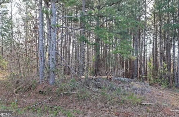 $34,900 | 0 County Highway 106, Bear Creek, AL 35543