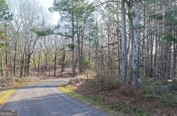 $34,900 | 0 County Highway 106, Bear Creek, AL 35543