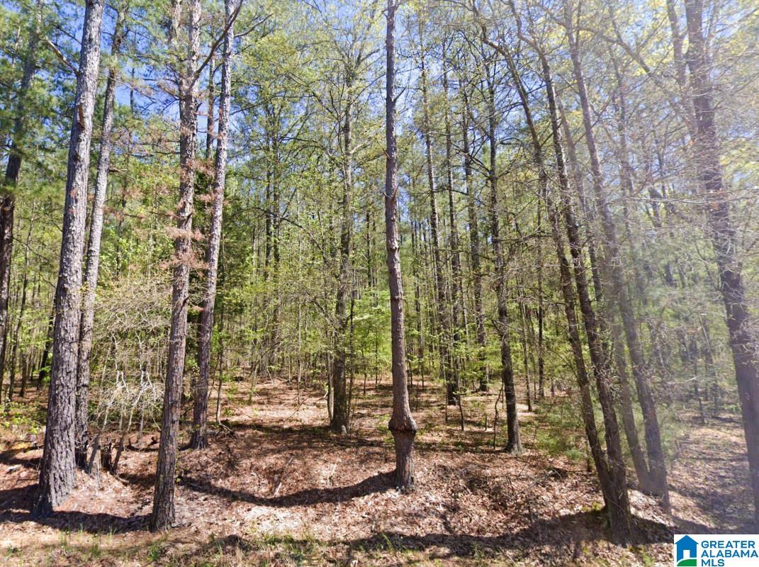 5565 Red Robin Road Sylacauga, AL 35151 - Photo 6 of 15
