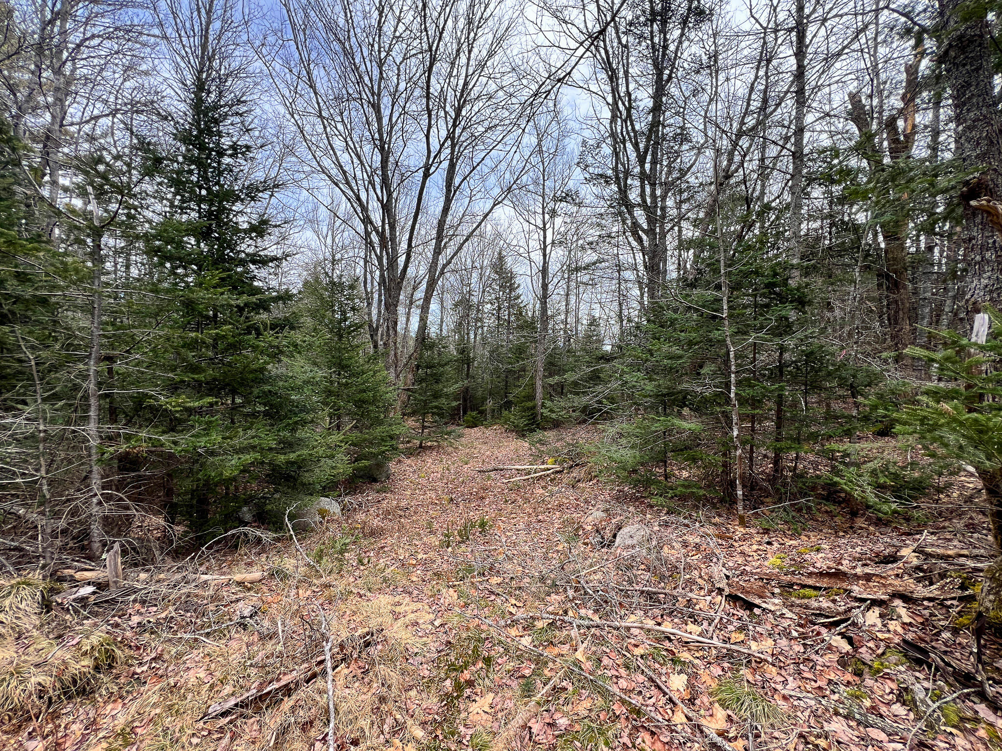 39 Farm Edge Road Sullivan, ME 04664 - Photo 14 of 17 14