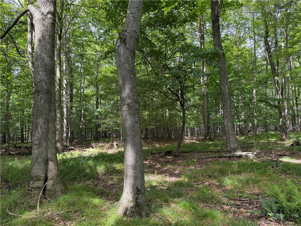 Vl Barney Road North Fillmore, NY 14735 - Photo 40 of 50 Gallery Image 40