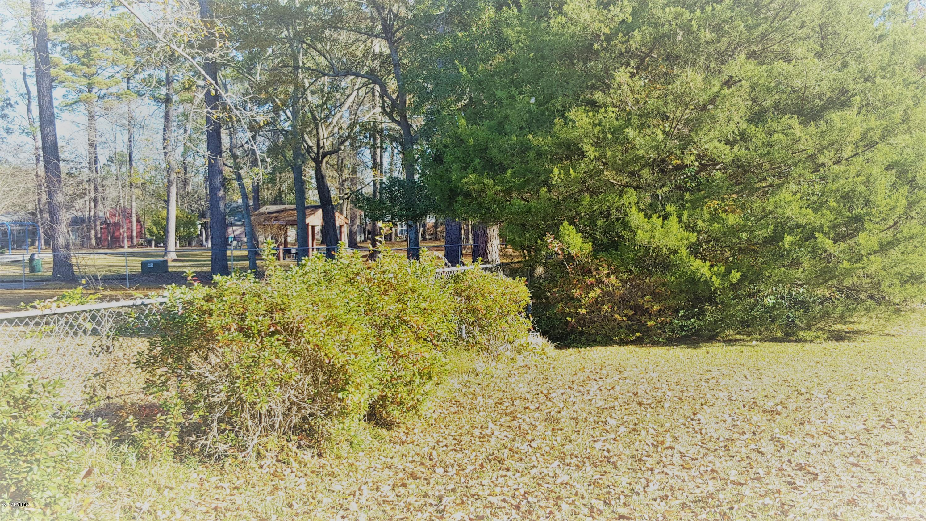 206 Nottingham Road Jacksonville, NC 28546 - Photo 17 of 19 City Park
