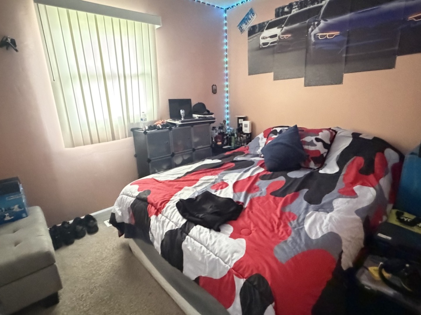 435 Fenton Avenue Romeoville, IL 60446 - Photo 6 of 10