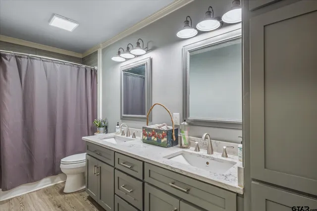a bathroom with a double vanity sink mirror and toilet