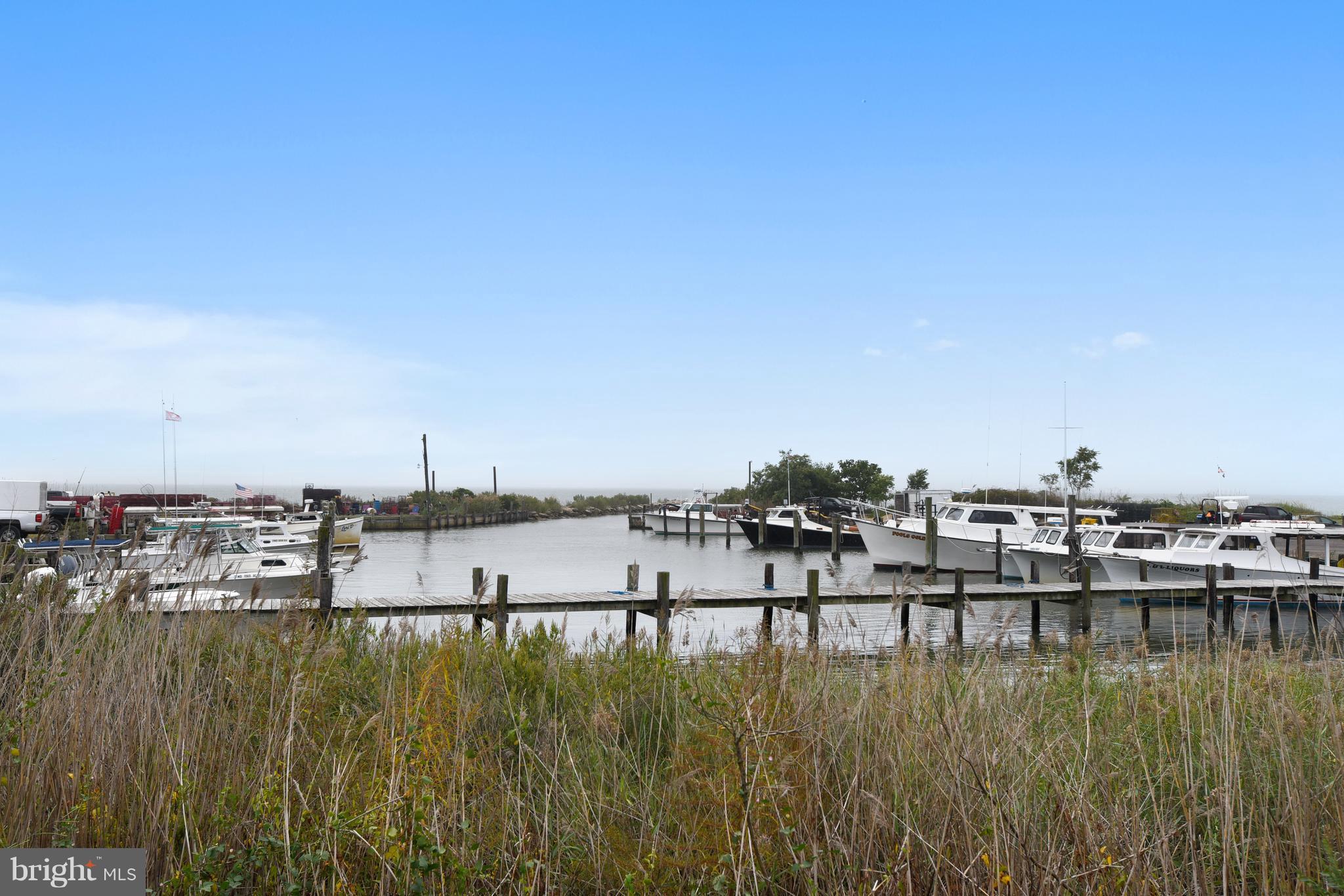 100 Claiborne Road Stevensville, MD 21666 - Photo 30 of 30 1 block away is a Commercial Marina