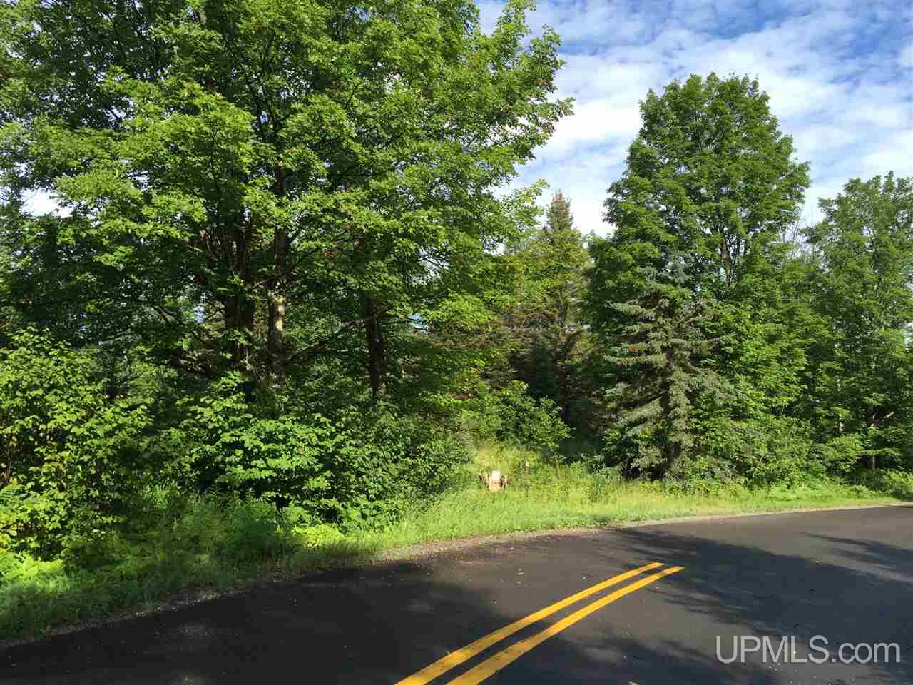207 Section 6 Road Crystal Falls, MI 49920 - Photo 4 of 9