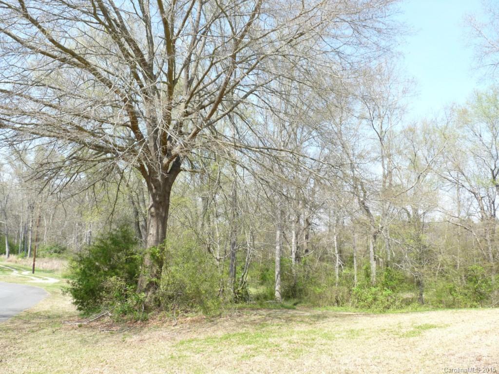 0 Sutton Lane Lancaster, SC 29720 - Photo 6 of 7 Gallery Image 6