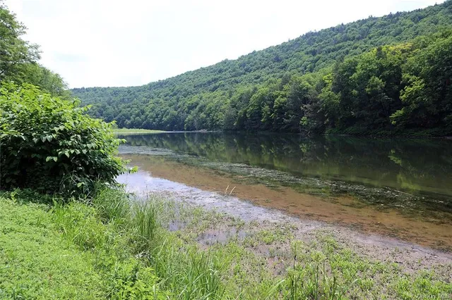 a view of a lake with a mountain in the background
