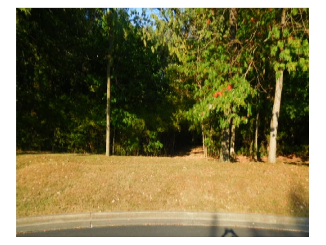 Ridge Road Jasper, IN 47546 - Photo 3 of 5