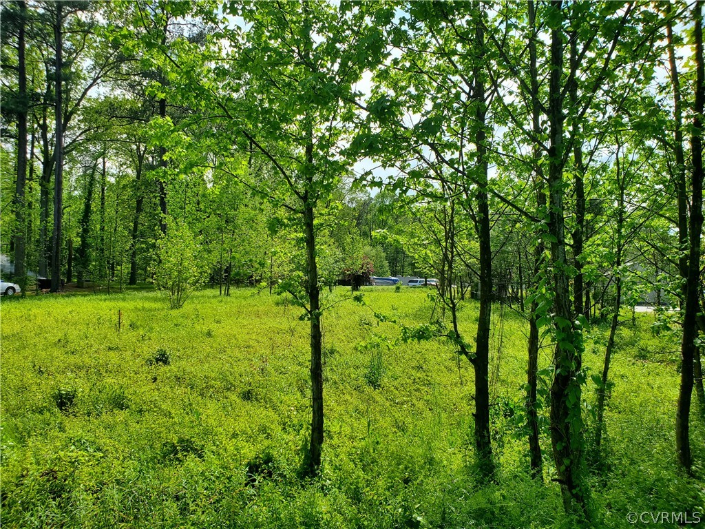 4200 Jefferson Park Road Prince George, VA 23875 - Photo 7 of 8 Gallery Image 7