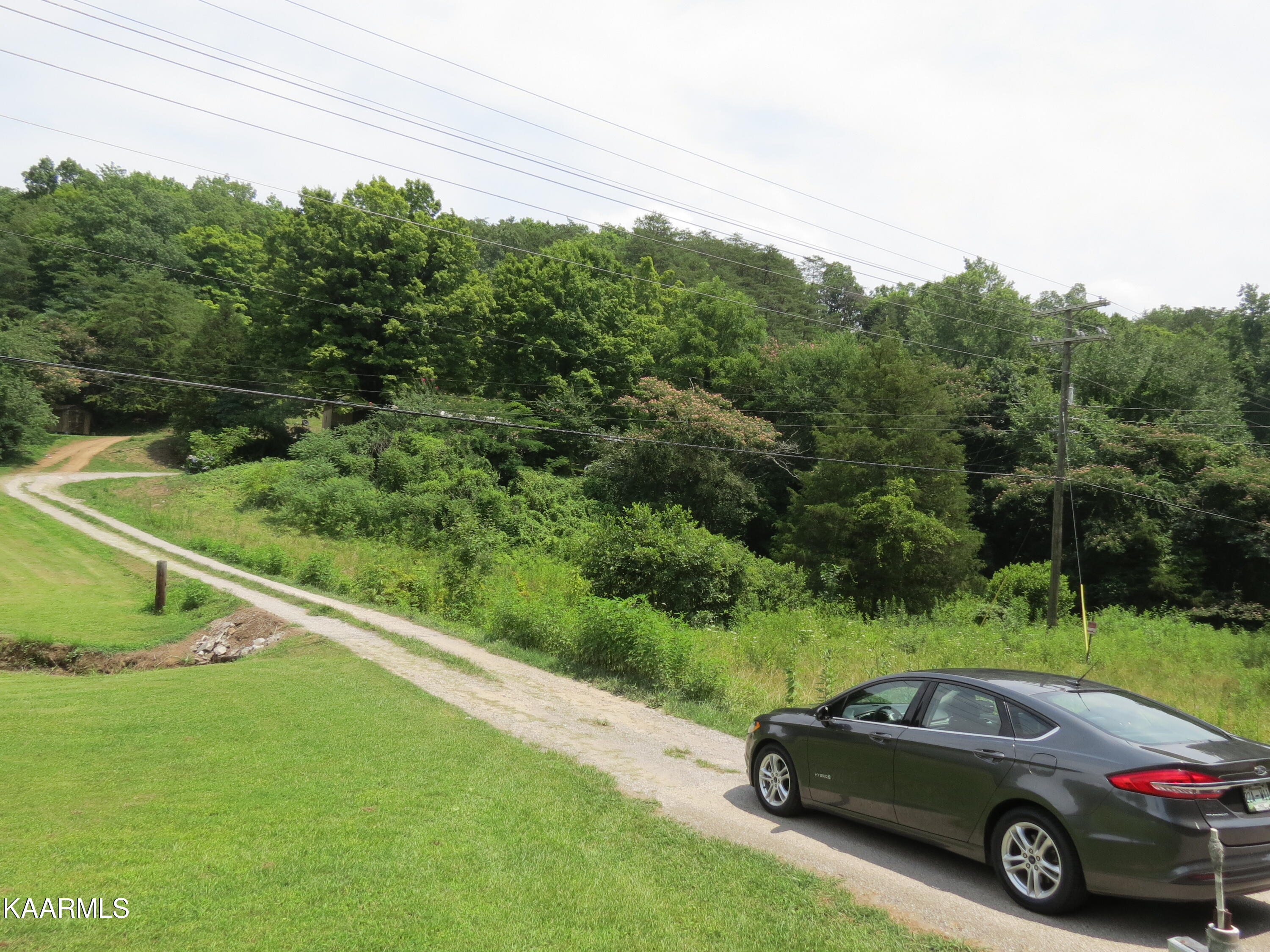 3741 Norris Freeway Heiskell, TN 37754 - Photo 3 of 11 IMG_6458