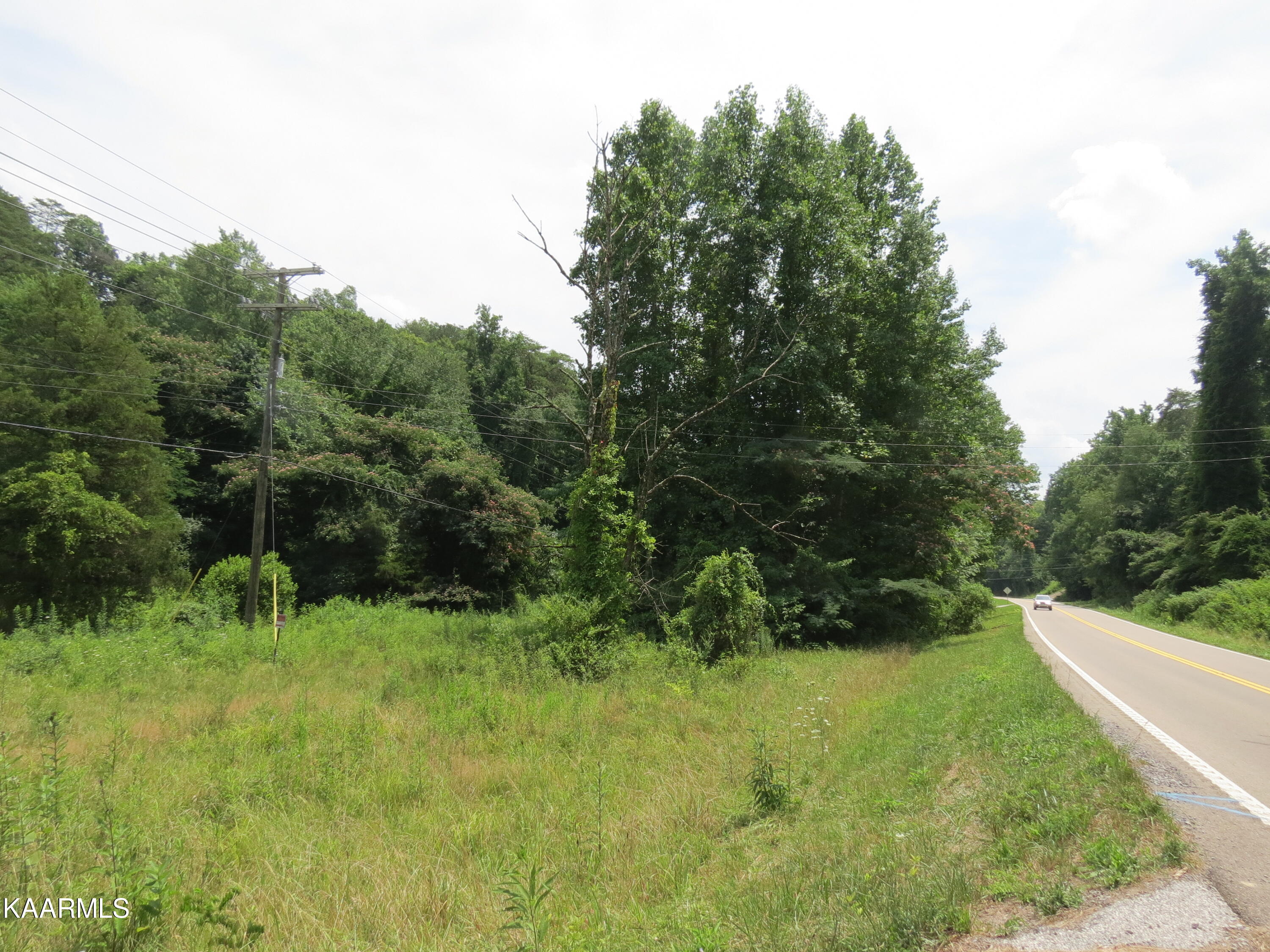 3741 Norris Freeway Heiskell, TN 37754 - Photo 4 of 11 IMG_6459
