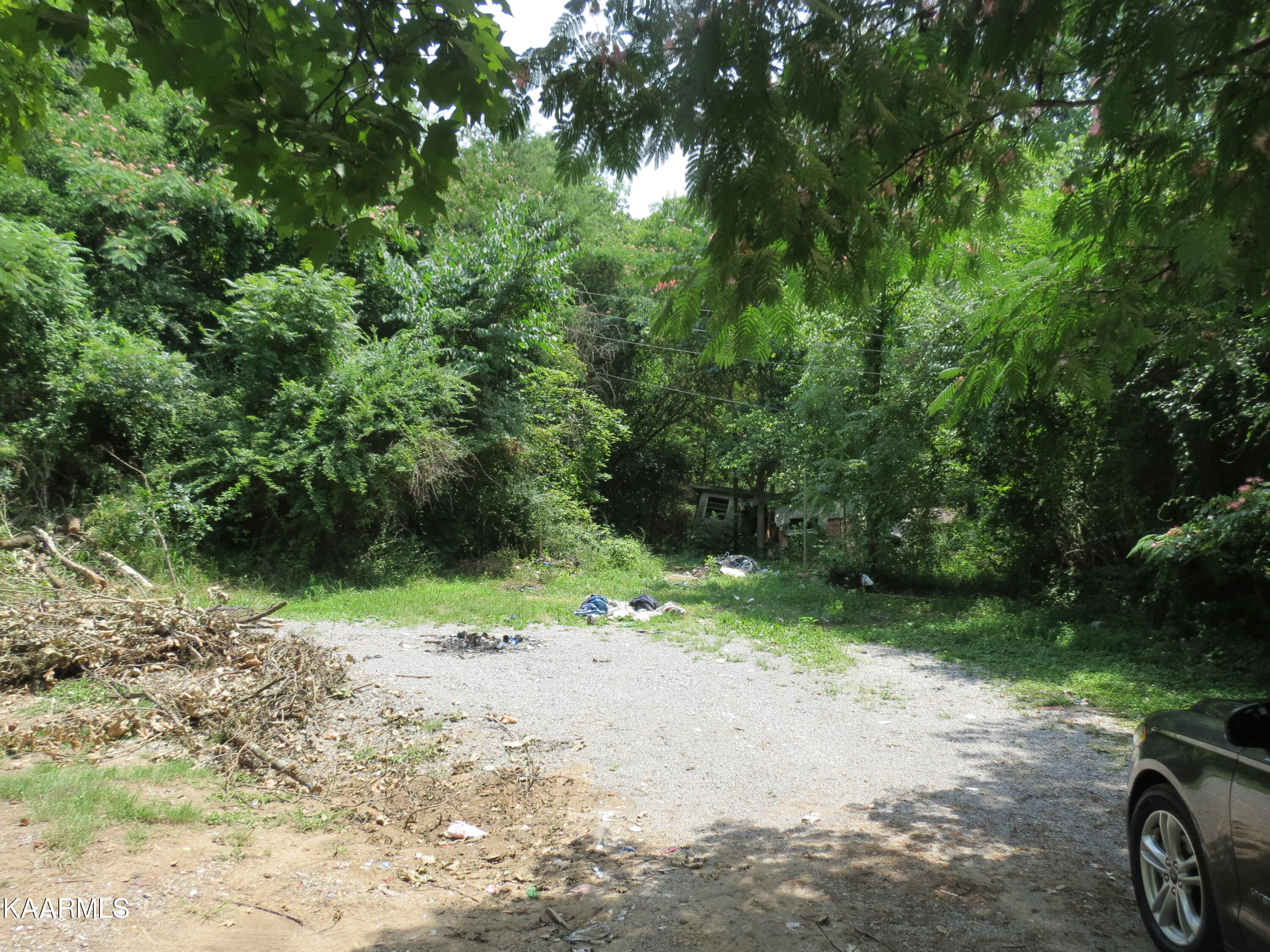3741 Norris Freeway Heiskell, TN 37754 - Photo 5 of 11 IMG_6460