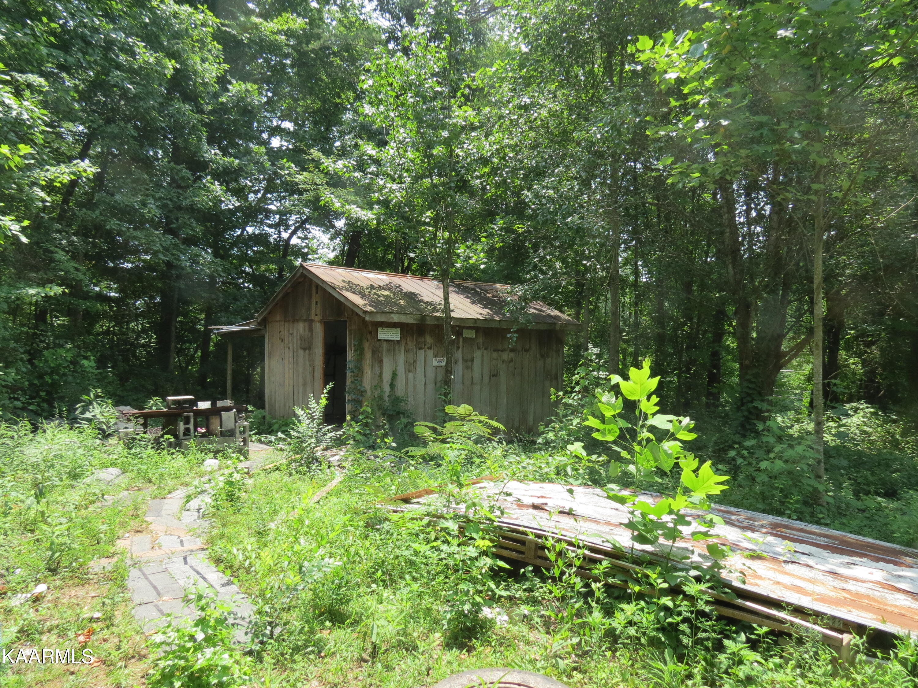 3741 Norris Freeway Heiskell, TN 37754 - Photo 7 of 11 IMG_6462