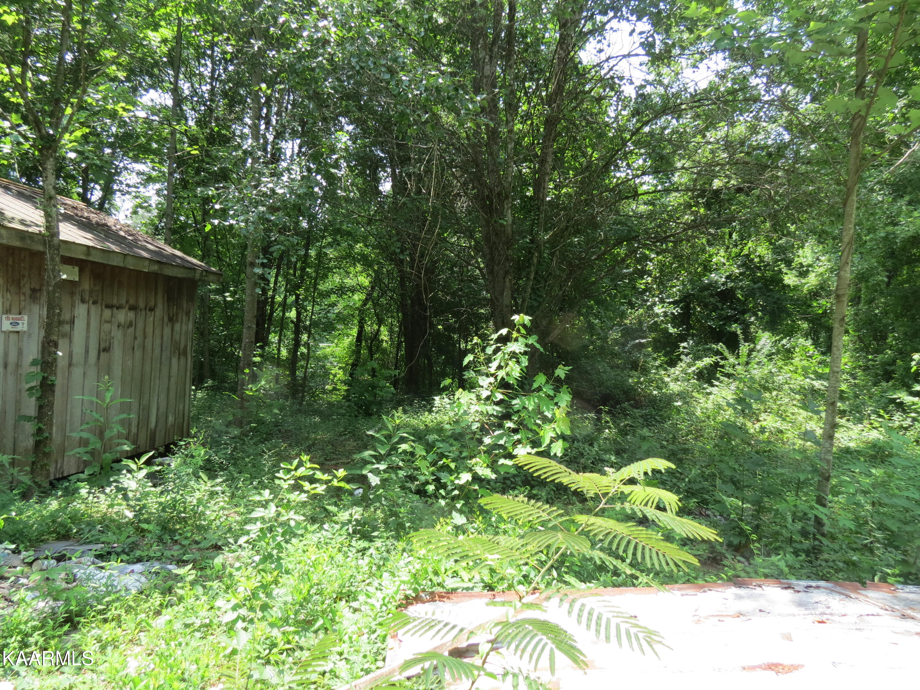 3741 Norris Freeway Heiskell, TN 37754 - Photo 10 of 11 IMG_6465