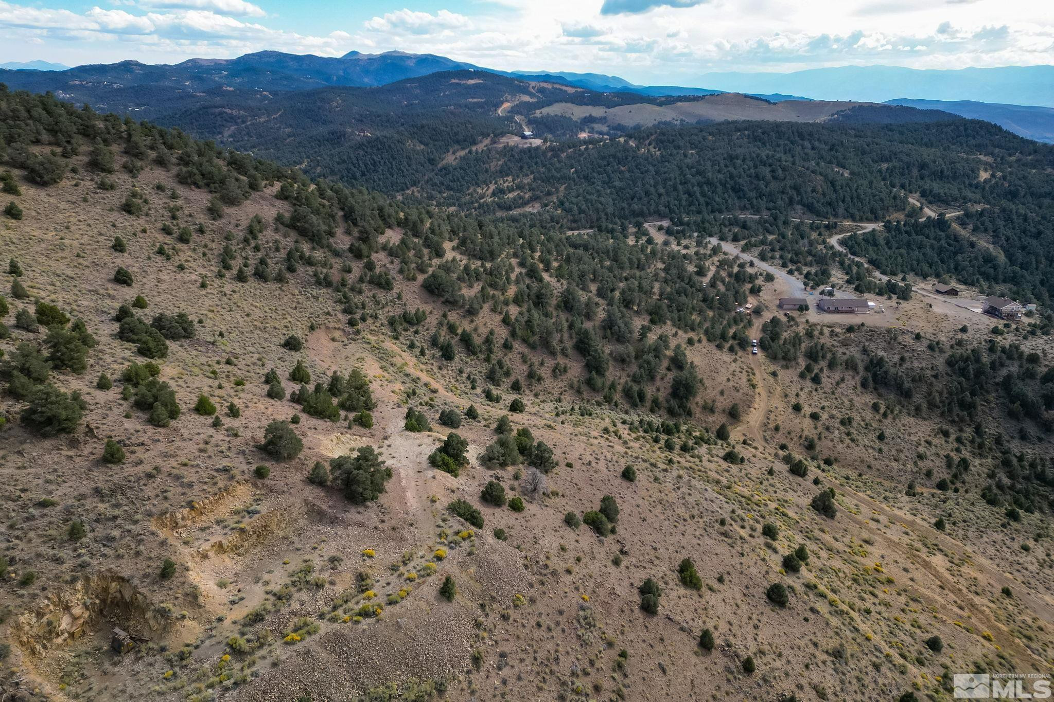 0 Western Skies Drive Reno, NV 89521 - Photo 12 of 20 a view of a forest with lush green forest