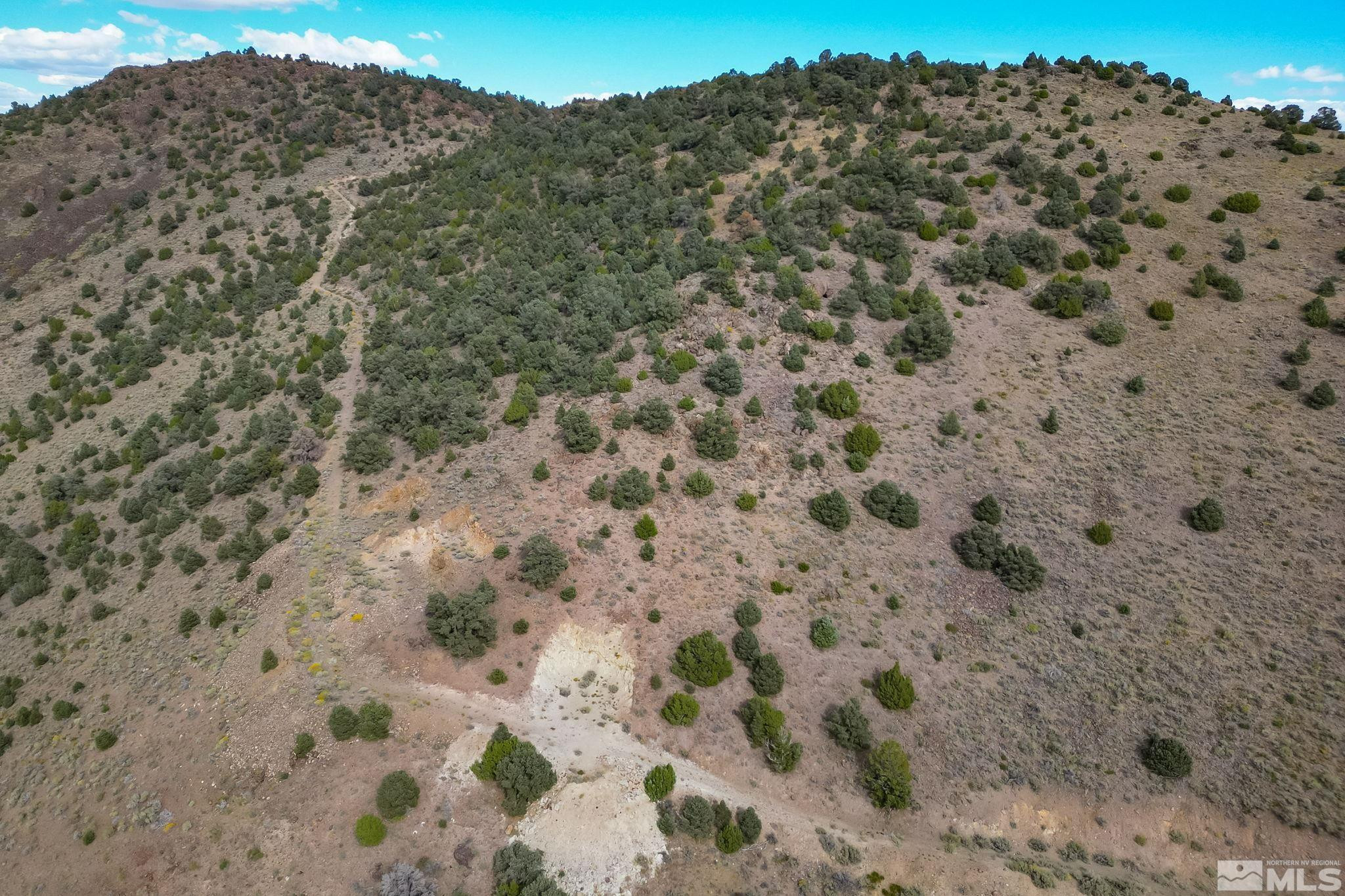 0 Western Skies Drive Reno, NV 89521 - Photo 14 of 20 a view of a dry yard with mountains in the background