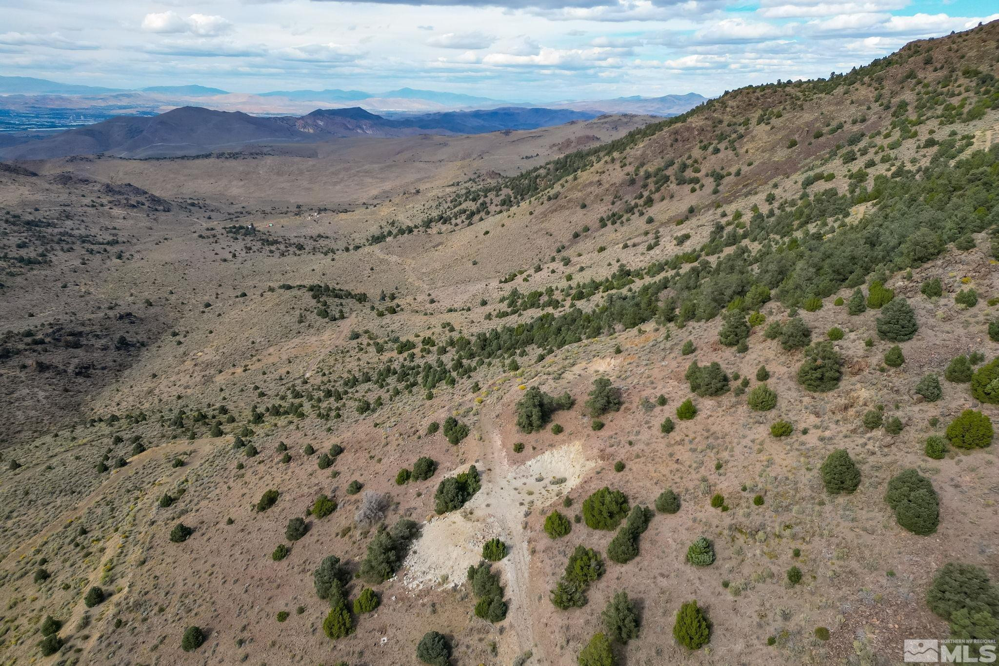 0 Western Skies Drive Reno, NV 89521 - Photo 15 of 20 a view of a dry field with trees in the background