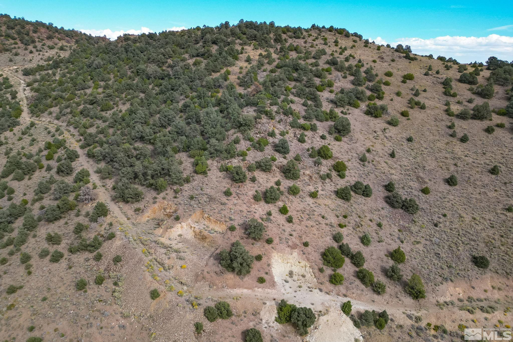 0 Western Skies Drive Reno, NV 89521 - Photo 16 of 20 a view of a dry yard with mountains in the background