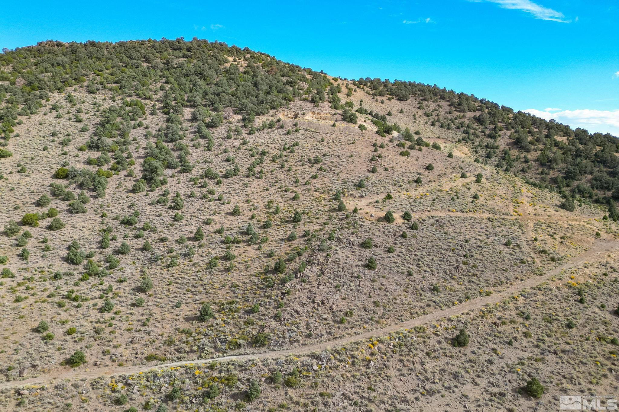 0 Western Skies Drive Reno, NV 89521 - Photo 19 of 20 a view of a dry yard with mountains in the background