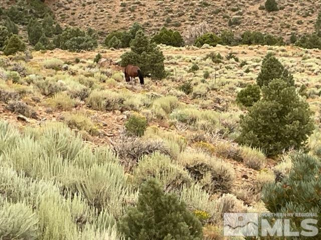 0 Western Skies Drive Reno, NV 89521 - Photo 20 of 20 a view of a yard of the building