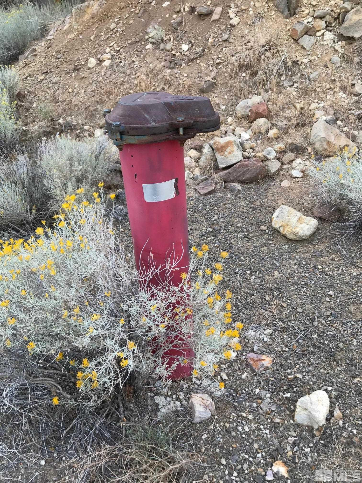 0 Western Skies Drive Reno, NV 89521 - Photo 2 of 20 a view of a tree in a yard