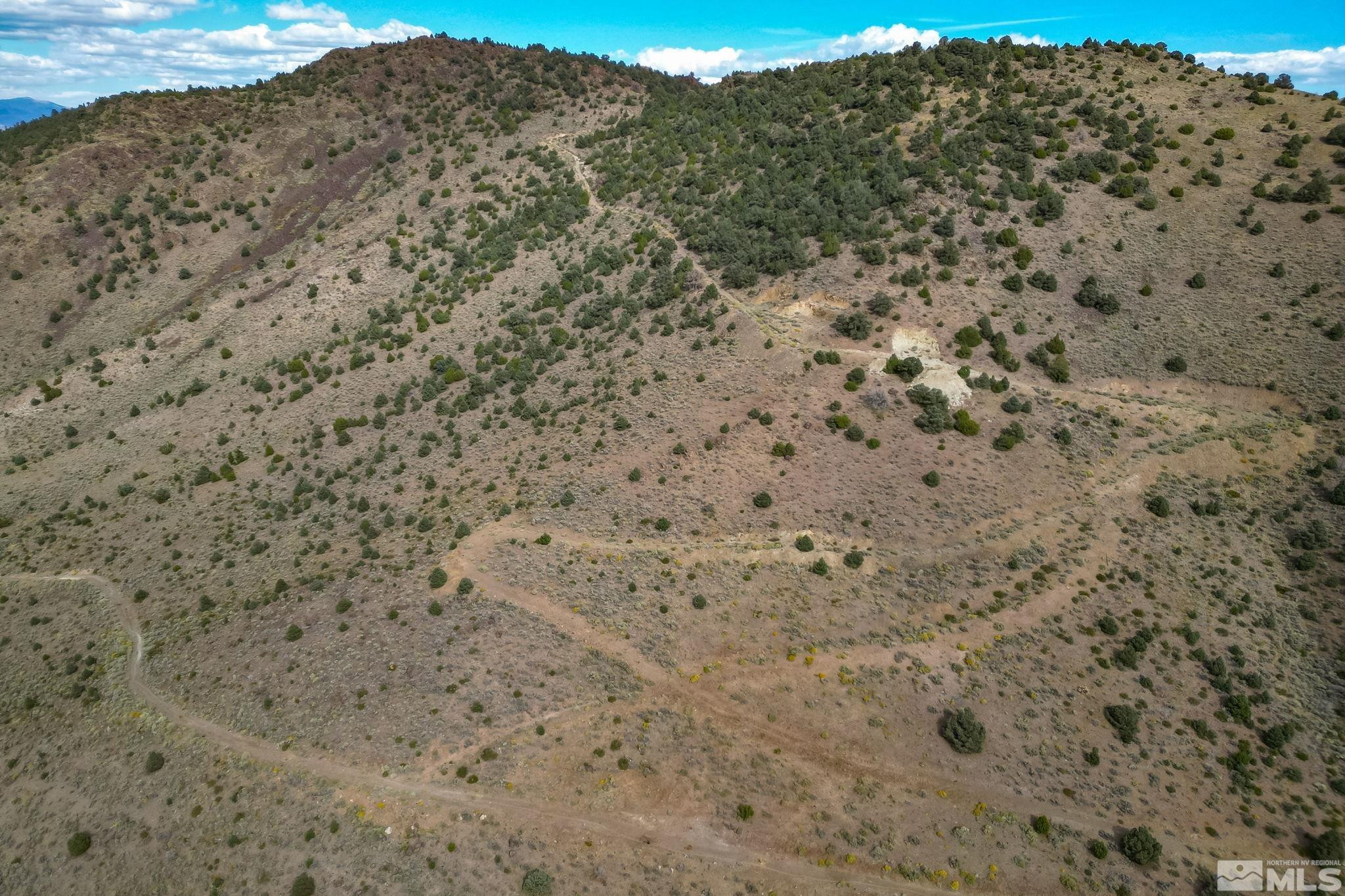 0 Western Skies Drive Reno, NV 89521 - Photo 8 of 20 a view of a dry yard