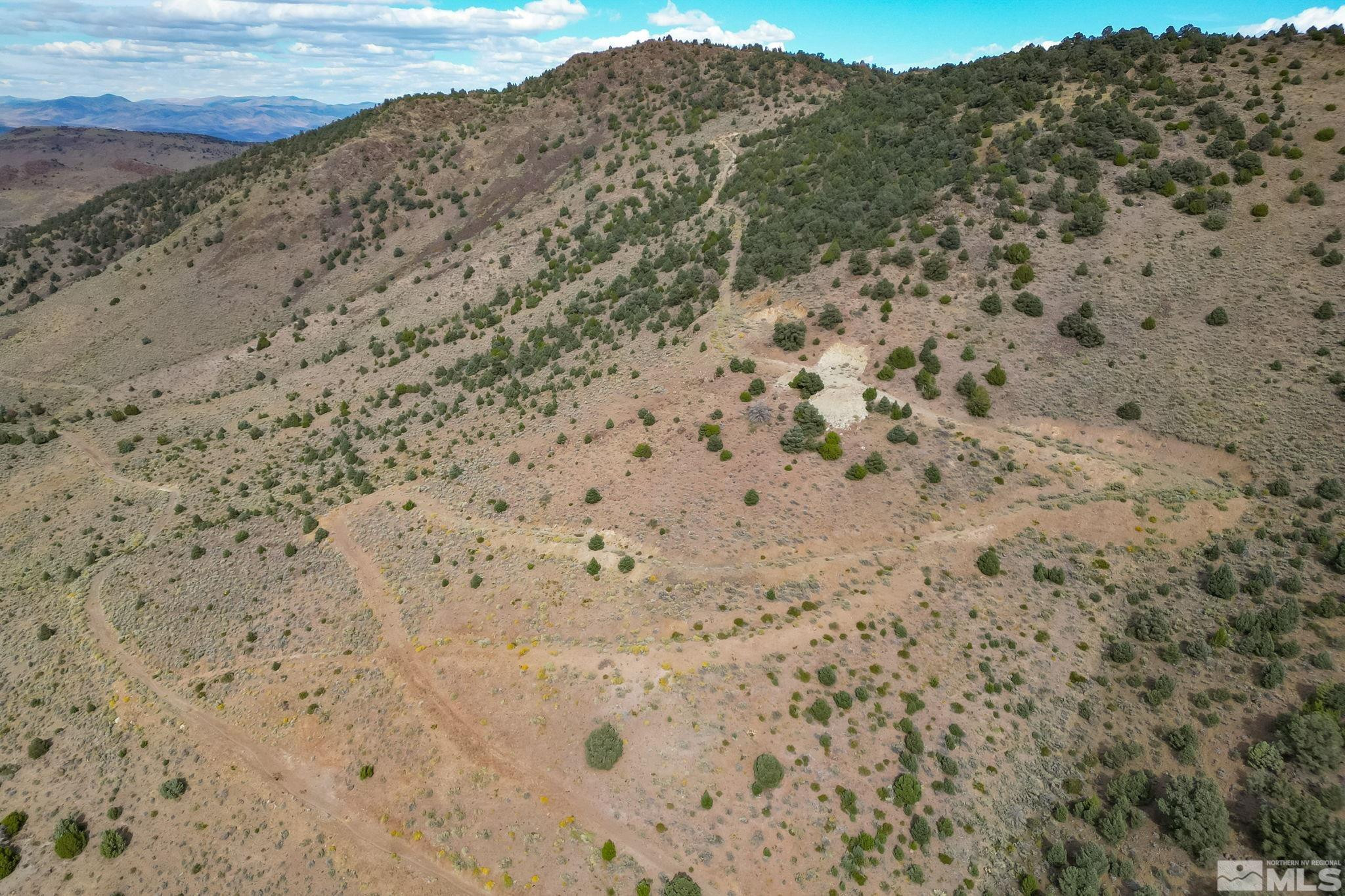 0 Western Skies Drive Reno, NV 89521 - Photo 9 of 20 a view of a dry field with trees in the background