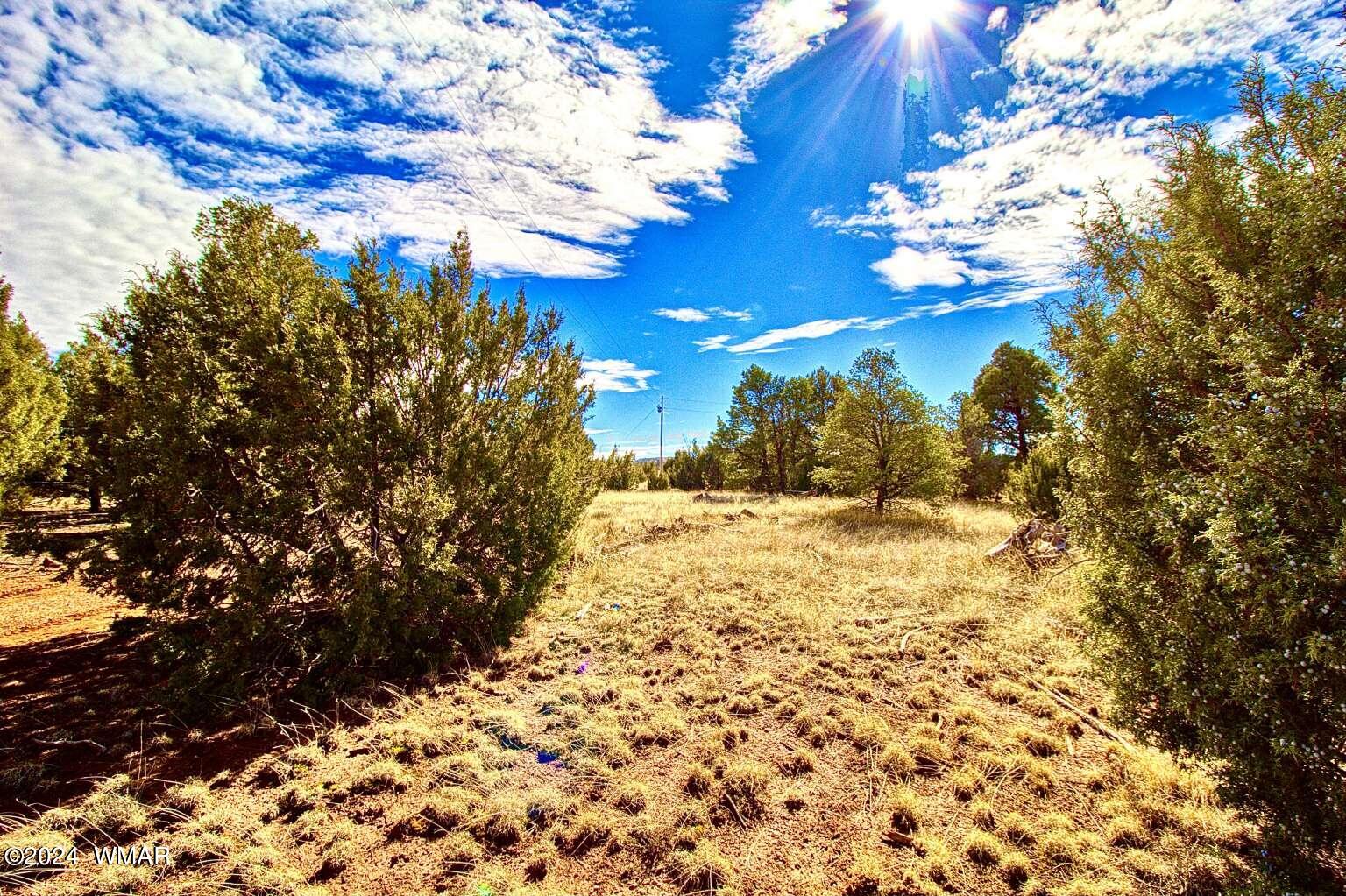 4817 Sawmill Road Clay Springs, AZ 85923 - Photo 1 of 18 Gallery Image 1