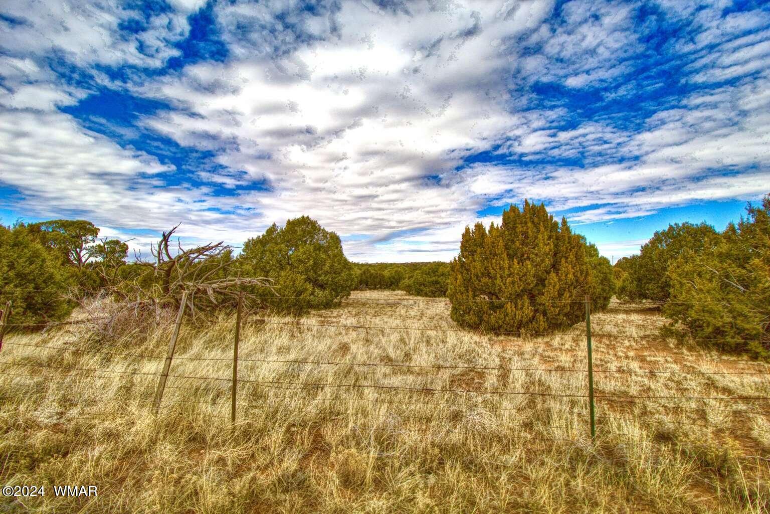 4817 Sawmill Road Clay Springs, AZ 85923 - Photo 11 of 18 Gallery Image 11
