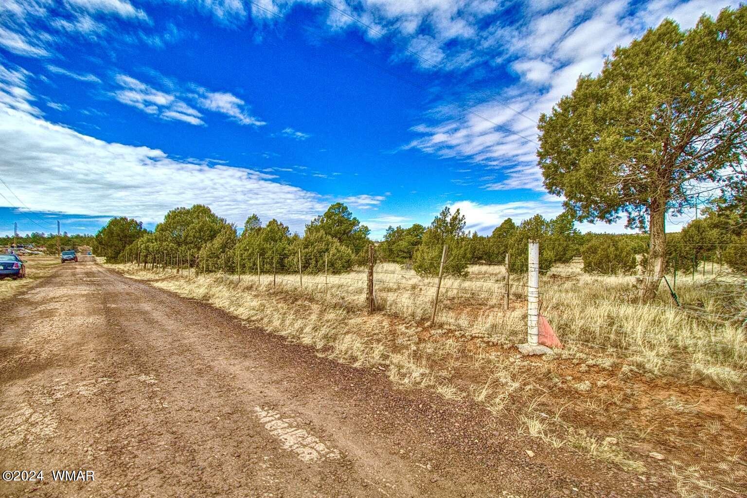 4817 Sawmill Road Clay Springs, AZ 85923 - Photo 12 of 18 Gallery Image 12