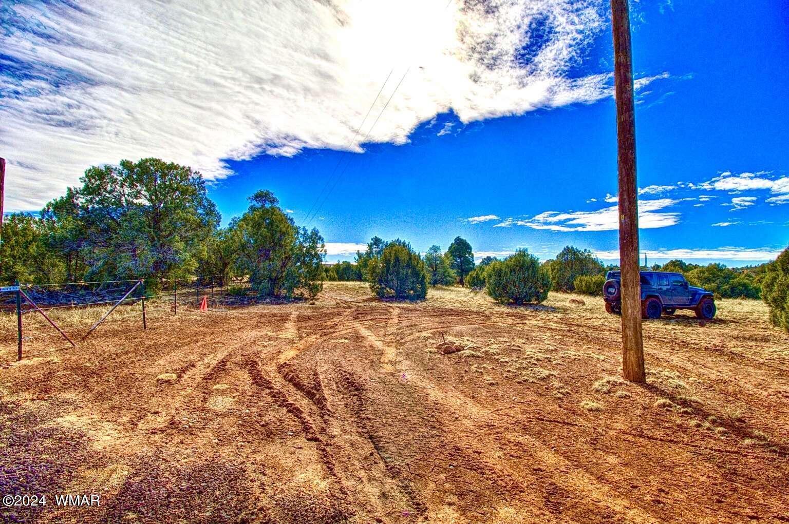 4817 Sawmill Road Clay Springs, AZ 85923 - Photo 14 of 18 Gallery Image 14