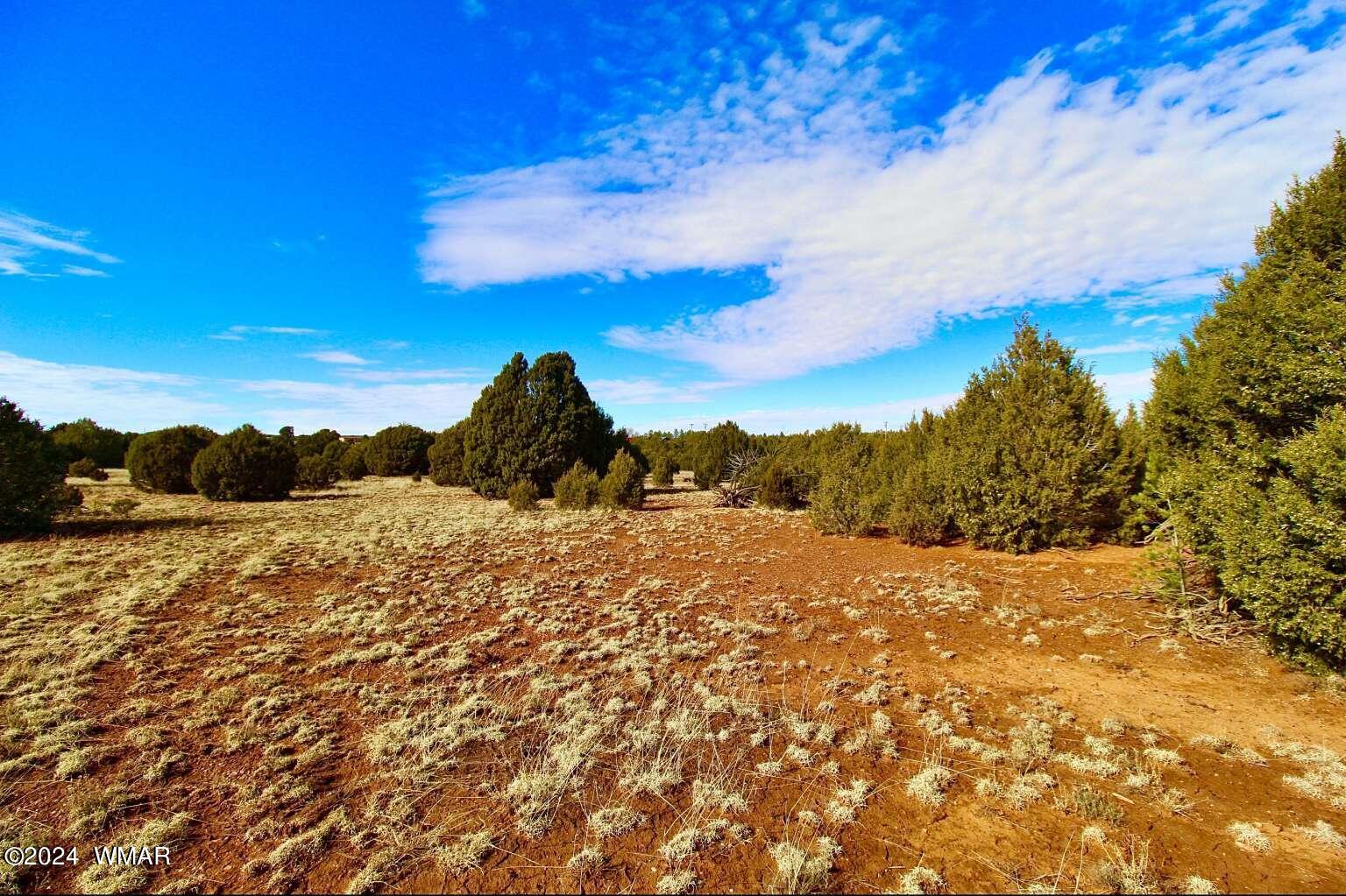 4817 Sawmill Road Clay Springs, AZ 85923 - Photo 18 of 18 Gallery Image 18